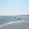 ココチいい南風の三浦海岸