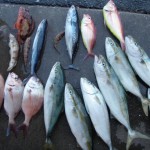 三浦海岸ビーチＢＢＱと釣りと海水浴と楽しい仲間